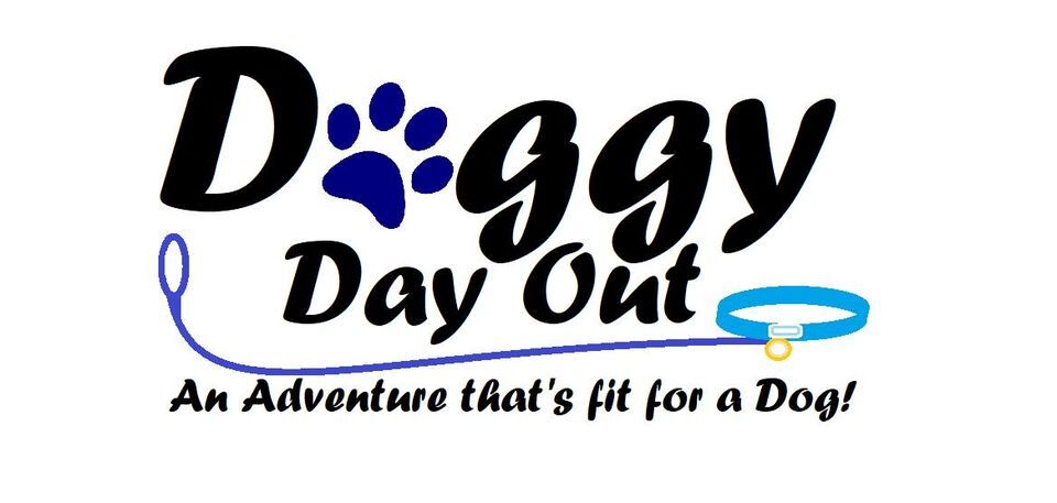 Doggy Day Out